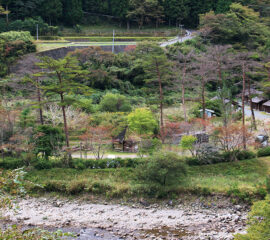 森林公園丹生ヤマセミの郷キャンプ場全景