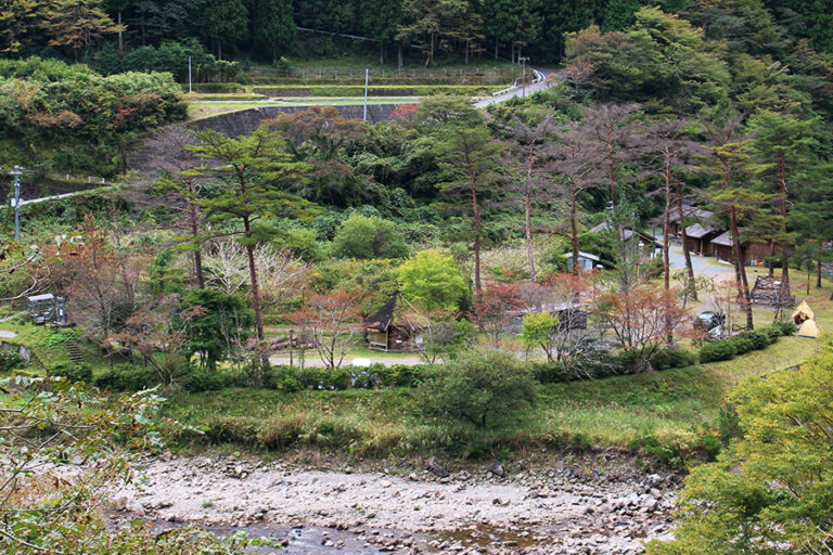 森林 公園 丹生 ヤマセミ の 郷 キャンプ 場