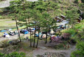 森林公園丹生ヤマセミの郷