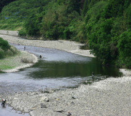 日高川（龍神地区）