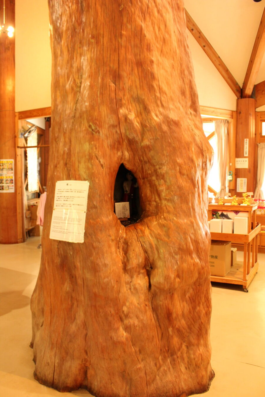ウッディプラザ木族館