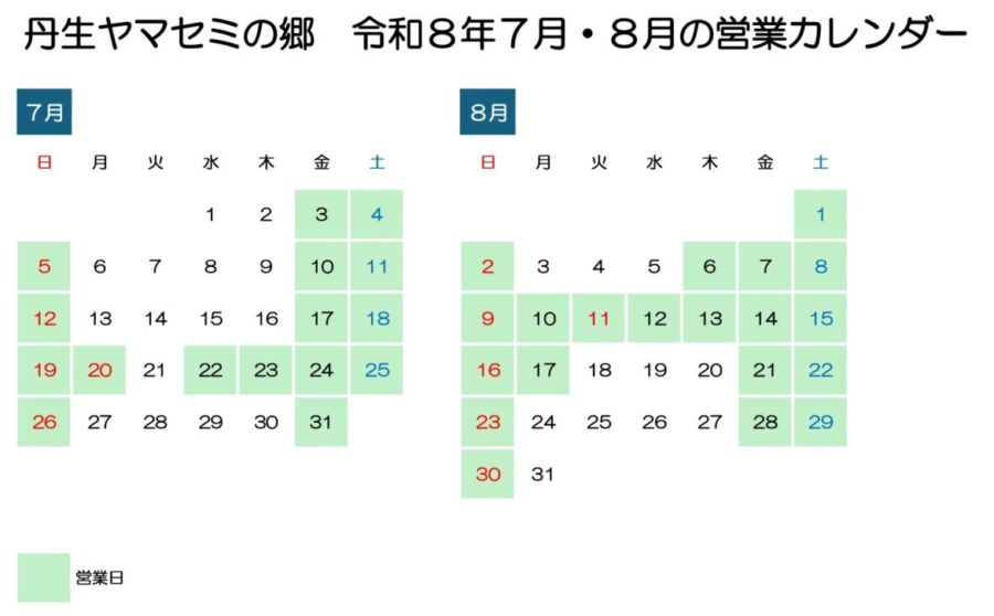 ヤマセミR8カレンダー